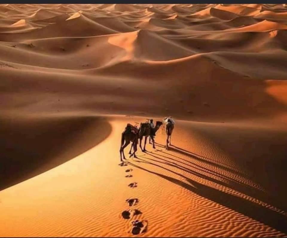 Camp Desert Bivouac Chegaga El Gouera Eksteriør billede