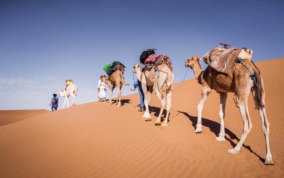 Camp Desert Bivouac Chegaga El Gouera Eksteriør billede
