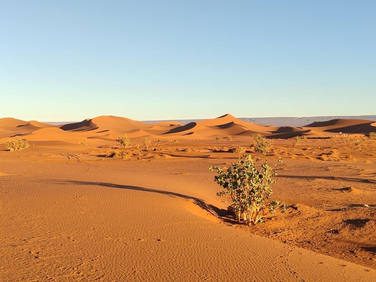 Camp Desert Bivouac Chegaga El Gouera Eksteriør billede