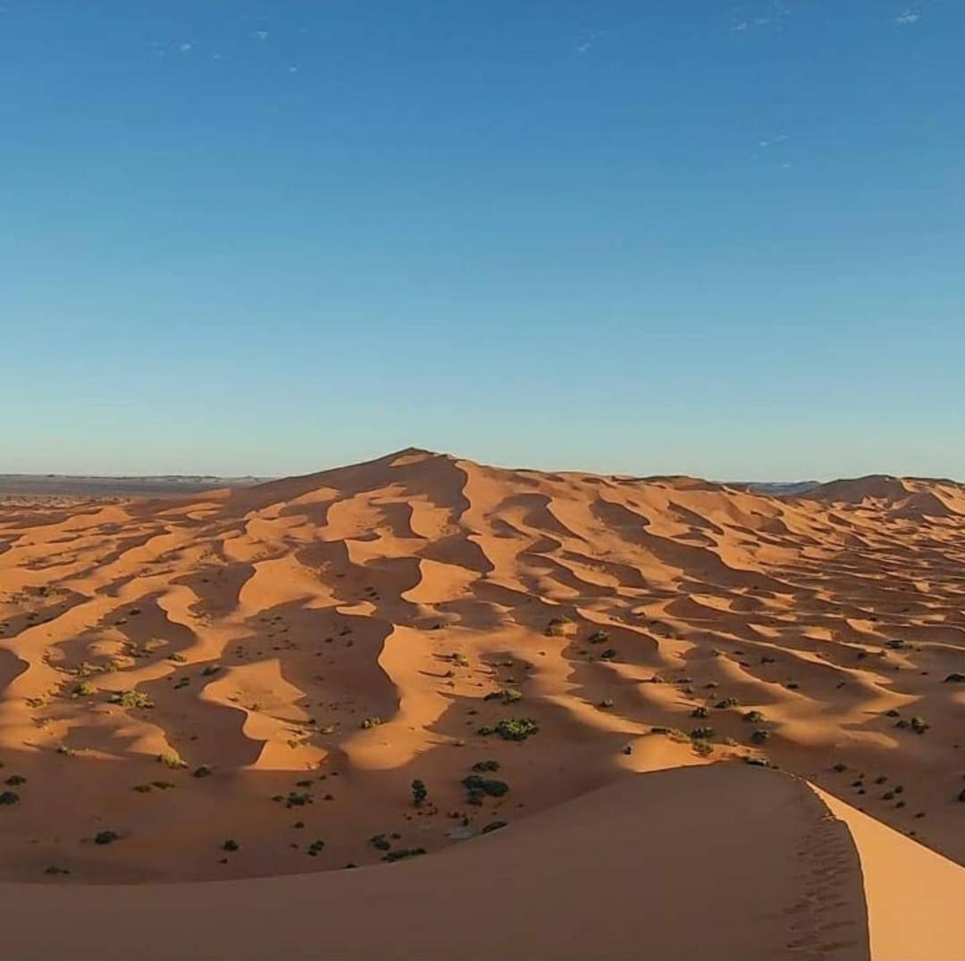 Camp Desert Bivouac Chegaga El Gouera Eksteriør billede