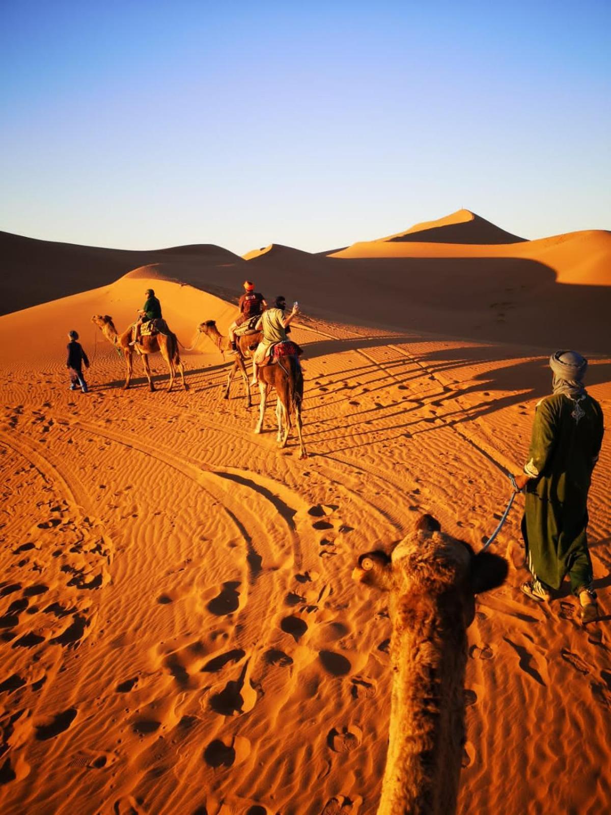 Camp Desert Bivouac Chegaga El Gouera Eksteriør billede