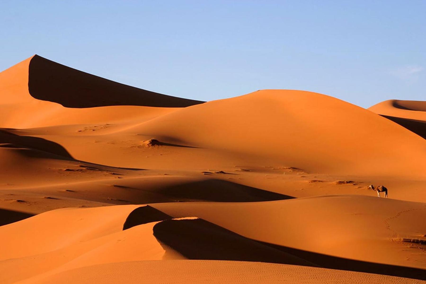 Camp Desert Bivouac Chegaga El Gouera Eksteriør billede