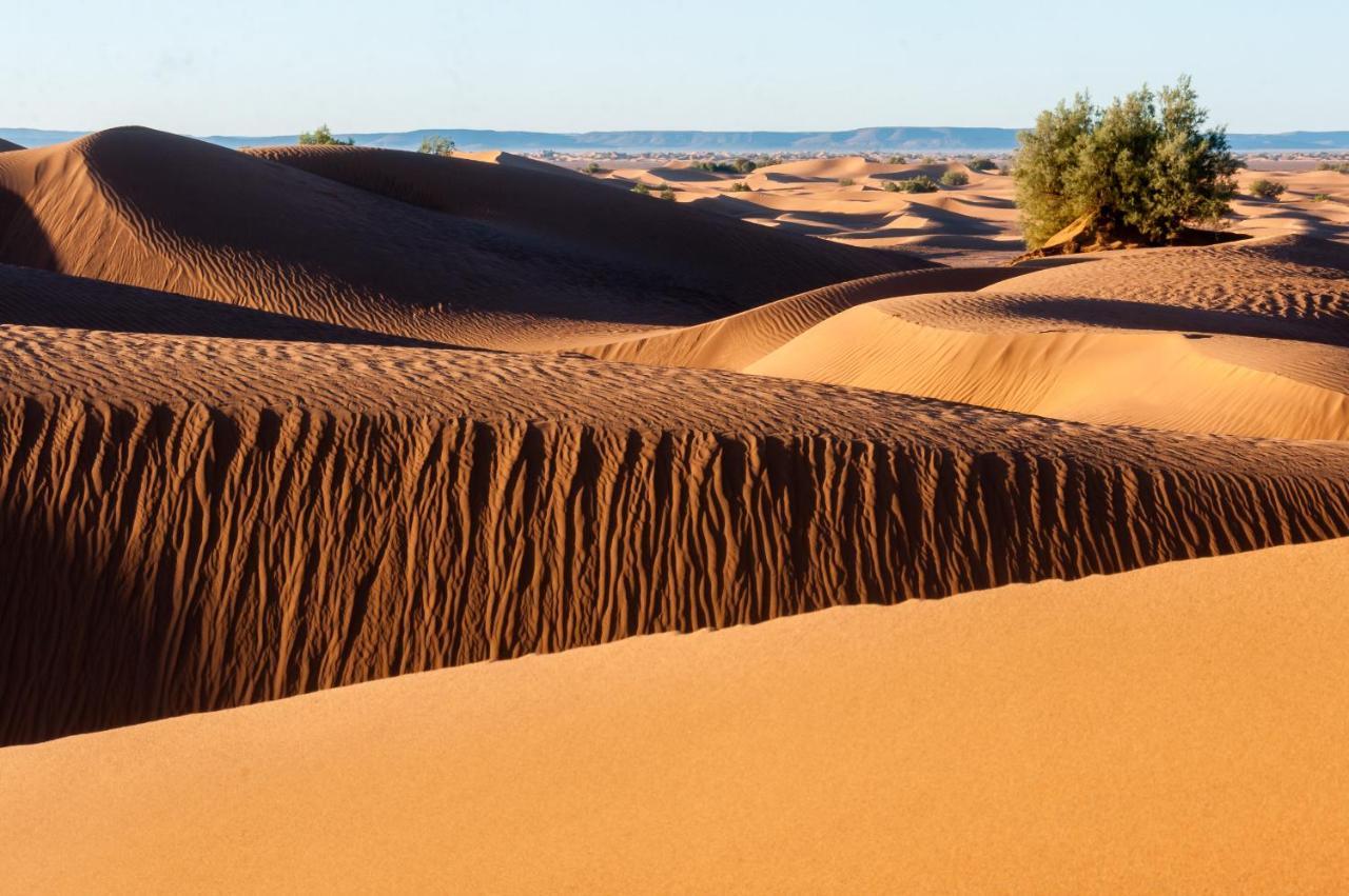 Camp Desert Bivouac Chegaga El Gouera Eksteriør billede